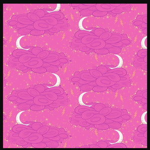 Tula Pink Quilting Fabric