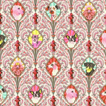 Load image into Gallery viewer, Tula Pink Quilting Fabric