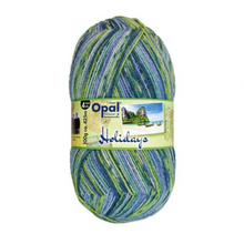 Load image into Gallery viewer, Opal Holiday Sock Yarn